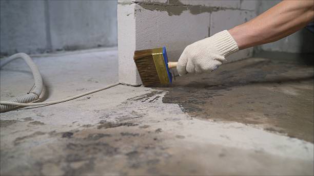 Top rated local Waterproofing specialists in Van Dyne, WI